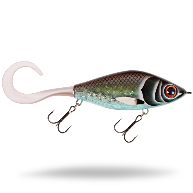 Guppie 13.5cm "Midnight Shiner"