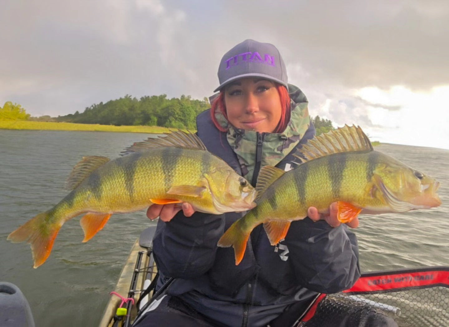 Våra rekommendationer för höstens abborrar